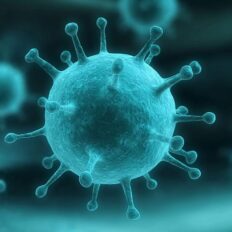 H1N1.5